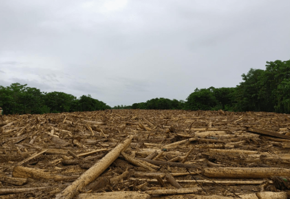Banjir Bandang Luwu Utara